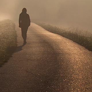 国际化版本的免费ddos攻击网页端