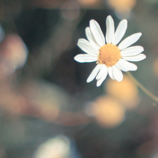 为您节约成本的怎么去攻击一个网站与防护