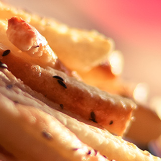 cc攻击免费网页版