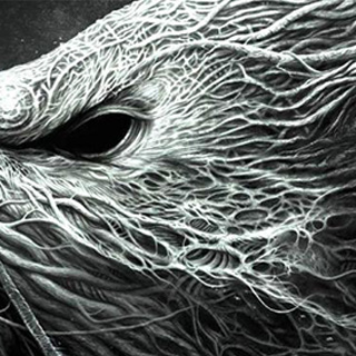 服务器攻击方式