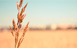 安卓ddos攻击工具